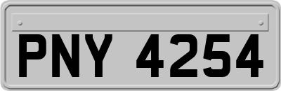 PNY4254