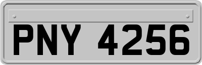 PNY4256