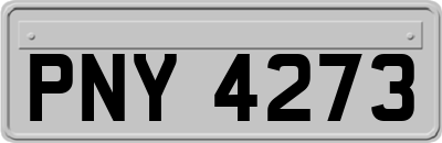 PNY4273