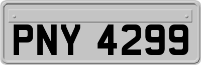 PNY4299