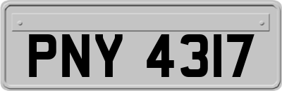 PNY4317
