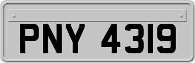 PNY4319