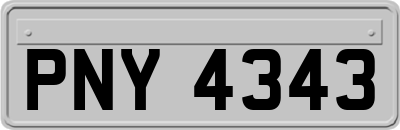 PNY4343