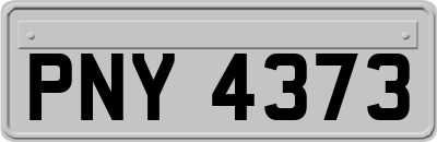 PNY4373