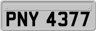 PNY4377
