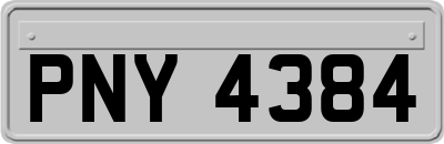 PNY4384