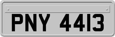 PNY4413
