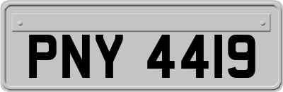 PNY4419