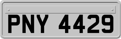 PNY4429