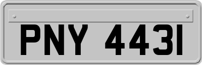 PNY4431