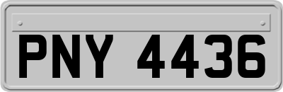PNY4436