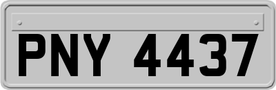 PNY4437