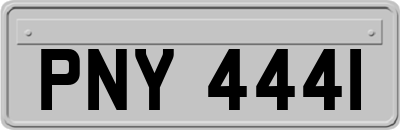PNY4441