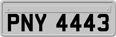 PNY4443