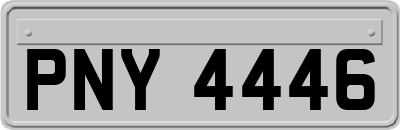 PNY4446