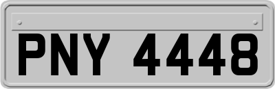 PNY4448