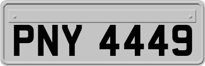 PNY4449