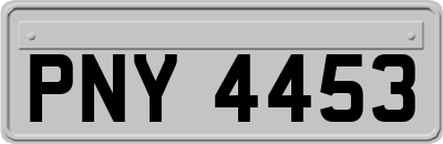 PNY4453