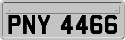 PNY4466