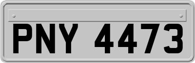 PNY4473
