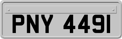 PNY4491