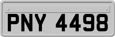 PNY4498