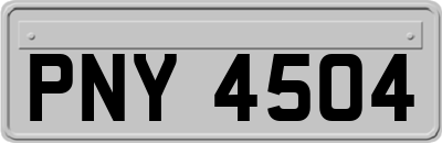 PNY4504
