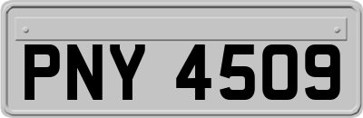 PNY4509
