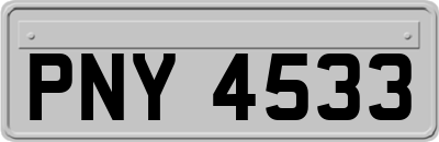 PNY4533