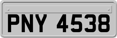 PNY4538