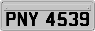 PNY4539