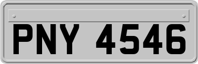 PNY4546