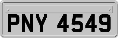 PNY4549
