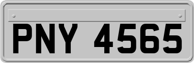 PNY4565