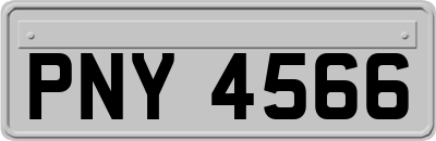 PNY4566