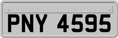 PNY4595