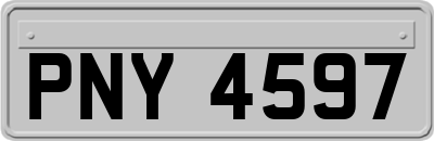 PNY4597
