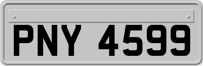 PNY4599