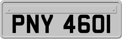 PNY4601