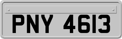 PNY4613