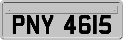 PNY4615