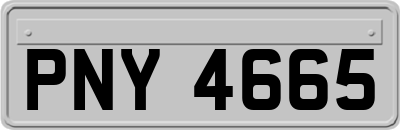 PNY4665