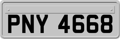 PNY4668