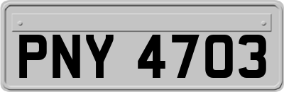 PNY4703
