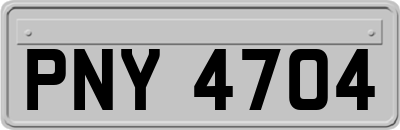 PNY4704