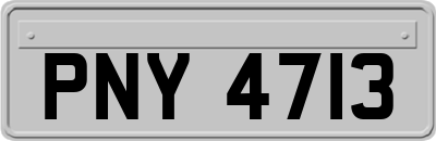 PNY4713