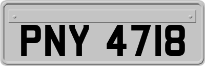 PNY4718