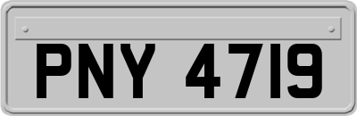 PNY4719