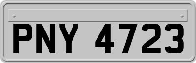 PNY4723