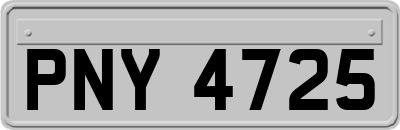 PNY4725